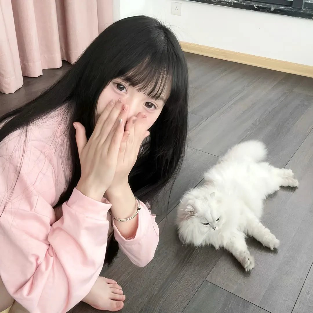 电视剧集